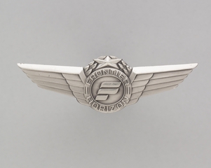Image: flight officer wings: Frontier Horizon