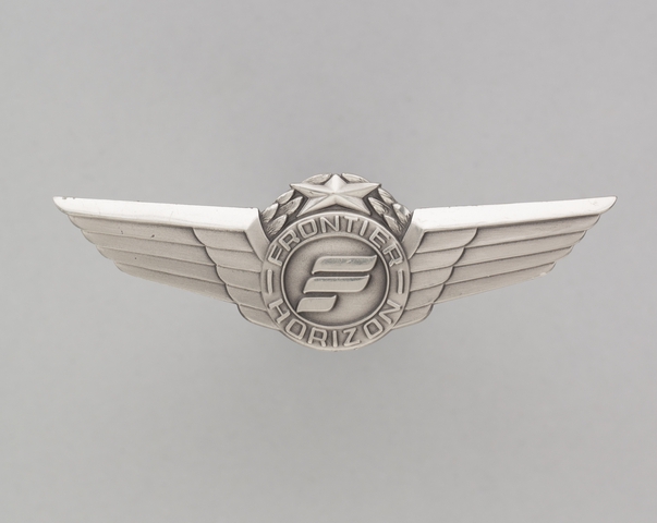 Flight officer wings: Frontier Horizon