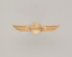 Image: flight officer wings: Capital Airlines