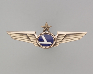 Image: flight officer wings: Eastern Air Lines