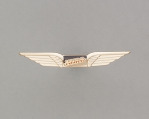 Image: flight officer wings: Federal Express