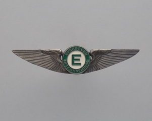Image: flight officer wings: Evergreen International