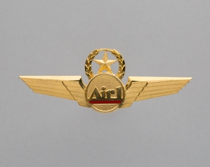 Image: flight officer wings: Air One