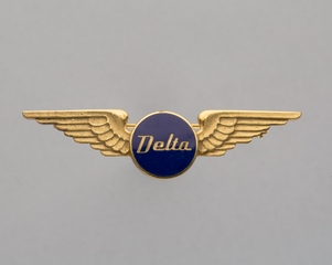 Image: stewardess wings: Delta Air Lines