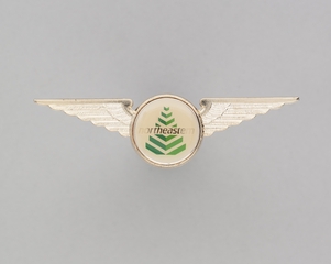 Image: flight officer wings: Northeastern Airlines