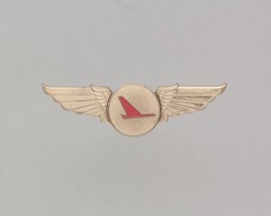 Image: flight officer wings: Swift Aire Lines