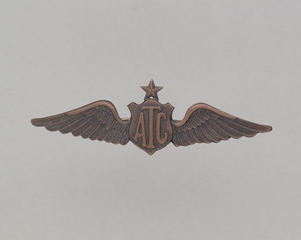 Image: flight officer wings: Air Transport Command (ATC)