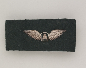 Image: flight officer wings: Aaxico Airlines