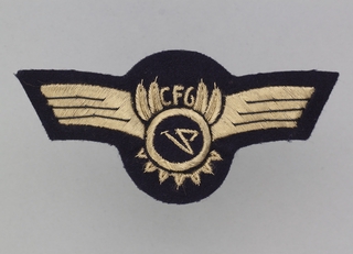 Image: flight officer wings: Condor