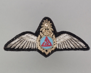 Image: flight officer wings: Air Siam