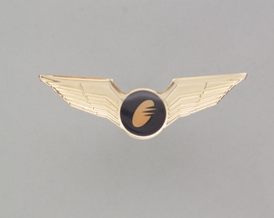 Image: flight officer wings: Jet America Airways