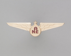 Image: flight officer wings: Air New England
