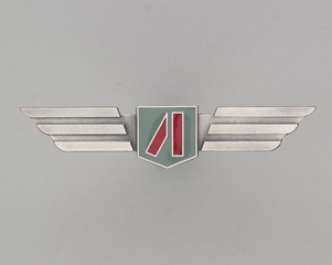 Image: flight officer wings: Airborne Express