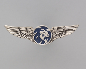 Image: flight officer wings: MGM Grand Air