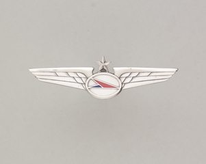 Image: flight officer wings: Allegheny Airlines