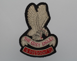 Image: retirement group insignia: American Airlines, The Grey Eagles
