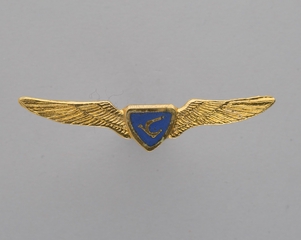 Image: flight officer wings: Air Rhodesia