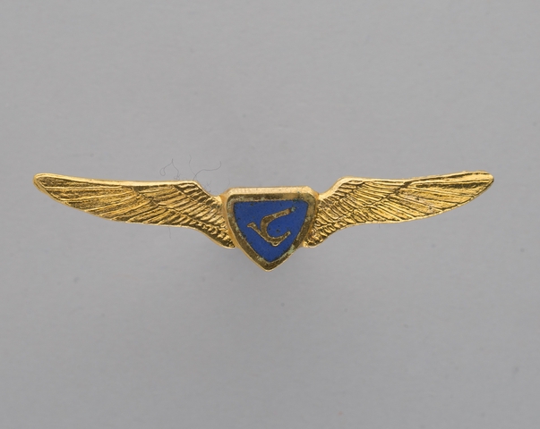 Flight officer wings: Air Rhodesia