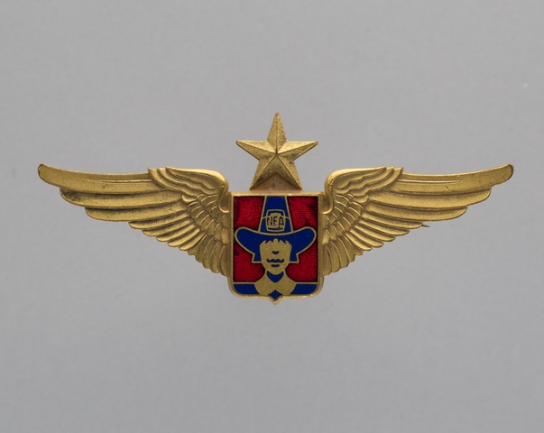 Flight officer wings: Northeast Airlines 