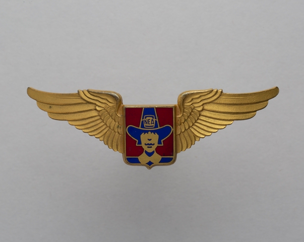 Flight officer wings: Northeast Airlines