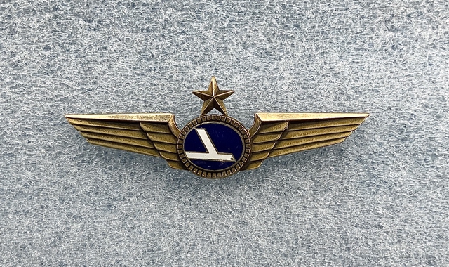 Flight officer wings: Eastern Air Lines