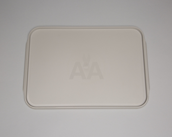Serving tray: American Airlines