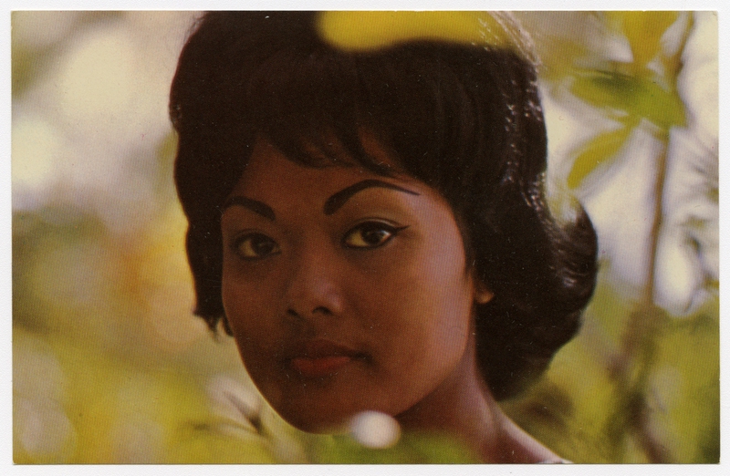 Image: souvenir autograph: United Air Lines, Sandra L. Herrmann, Doc Severinsen