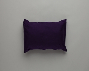 Image: pillow and pillowcase: Virgin America
