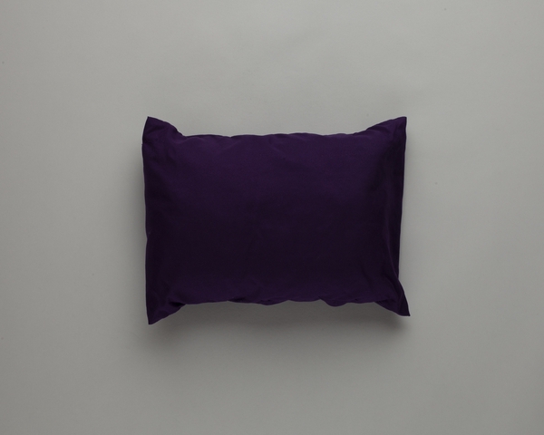 Pillow and pillowcase: Virgin America, first class