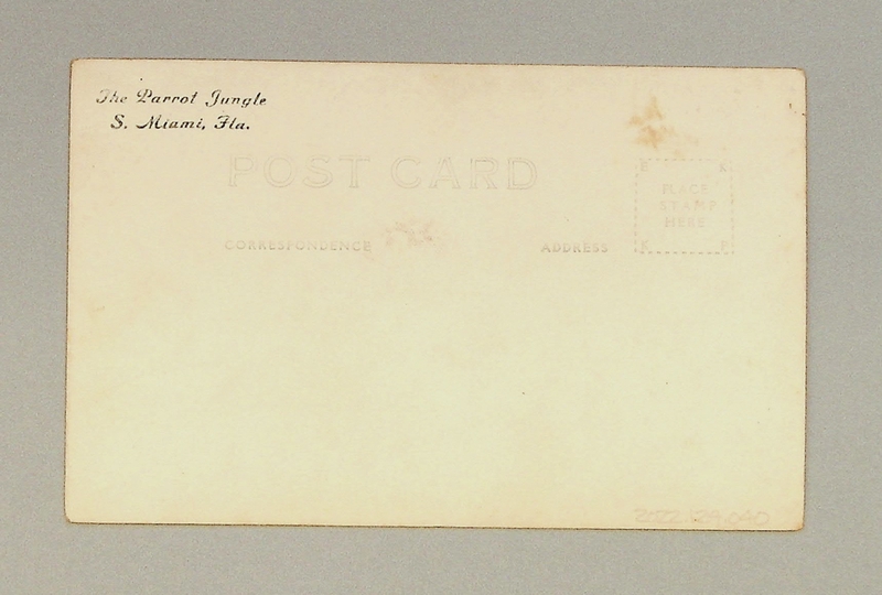 Image: postcard: Pan American Airways, Sikorsky S-40