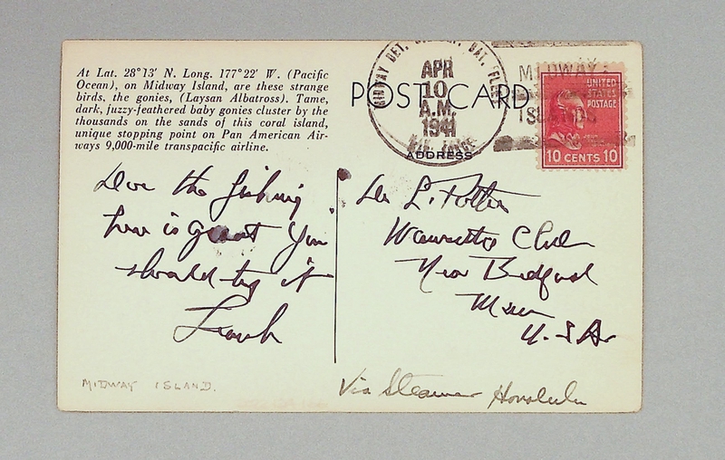 Image: postcard: Pan American Airways, Midway Island, Laysan Albatrosses