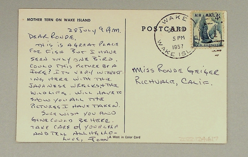 Image: postcard: Wake Island, tern