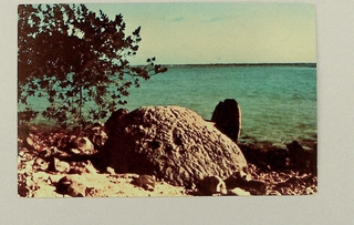 Image: postcard: Wake Island, World War II Rock