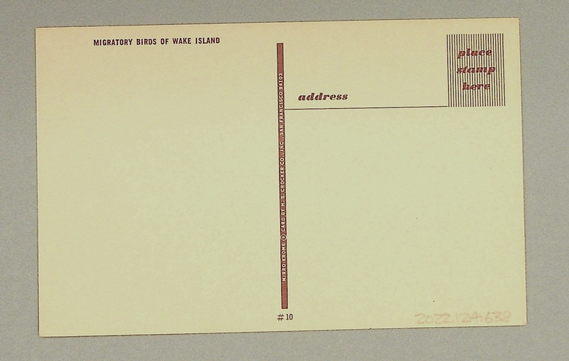 Image: postcard: Wake Island, birds