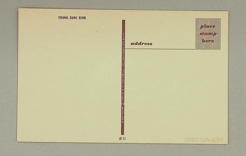 Image: postcard: Wake Island, young guni bird