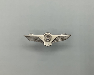 Image: flight attendant wings / service pin: United Airlines, 10 to 14 years
