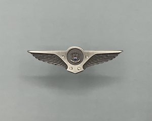 Image: flight attendant wings / service pin: United Airlines, 25 to 29 years