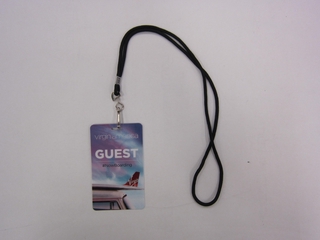 Image: guest pass: Virgin America