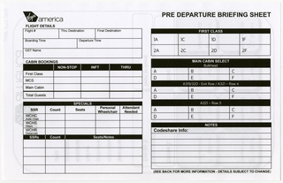 Image: form: Virgin America, briefing sheet