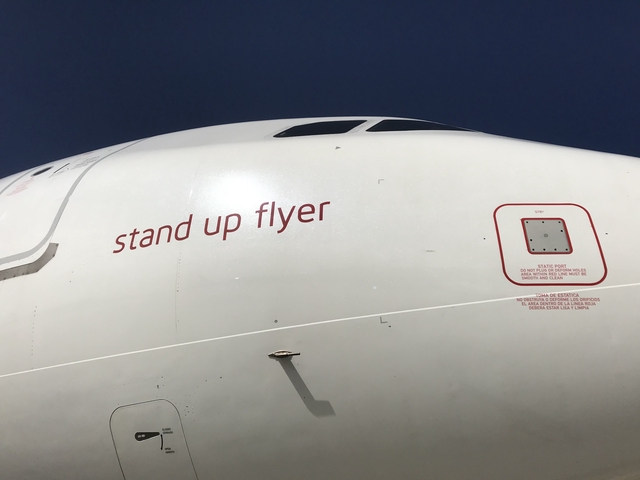 Digital photograph: Virgin America, Airbus A320-214