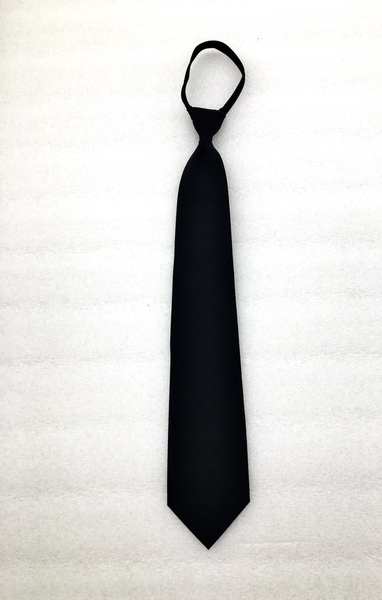 Image: flight officer necktie: Continental Airlines