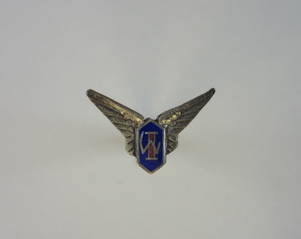 Image: lapel pin: wings