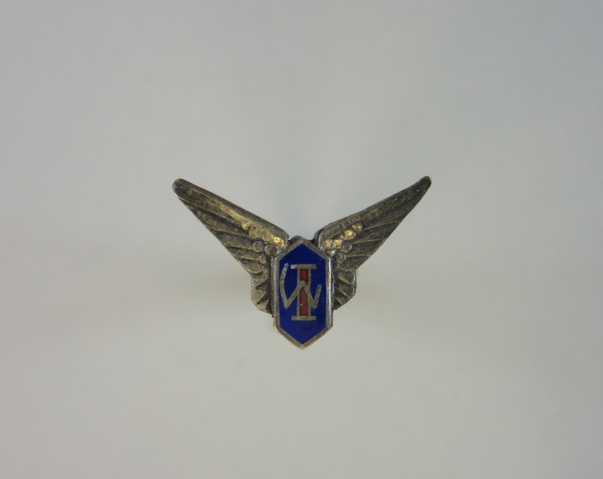 Lapel pin: wings