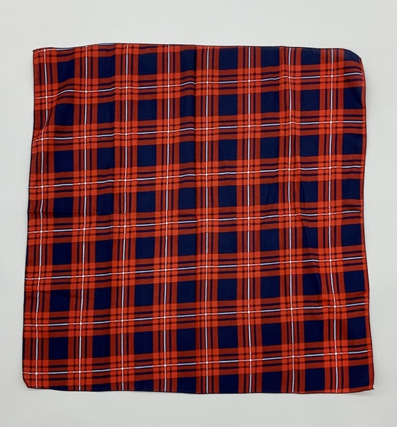 Image: stewardess scarf: American Airlines