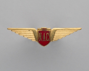 Image: flight officer wings: New Zealand National Airways