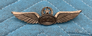 Image: flight officer wings: Atlantic Coast Airlines