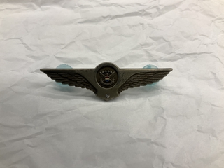 Image: flight attendant wings / service pin: United Airlines, 10 to 14 years