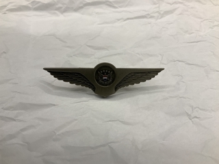 Image: flight attendant wings / service pin: United Airlines, 1 to 9 years
