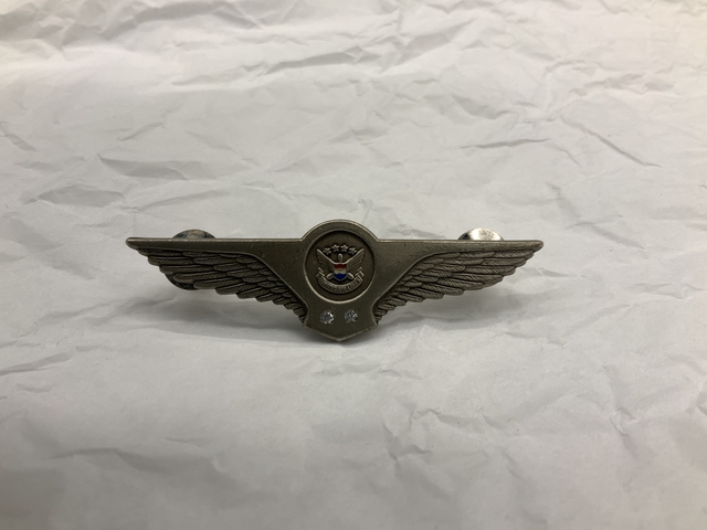 Flight attendant wings / service pin: United Airlines, 15 to 19 years