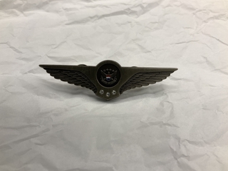 Image: flight attendant wings / service pin: United Airlines, 20 to24 years